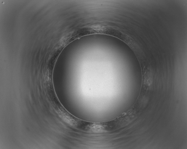 X0000078010518200611031433