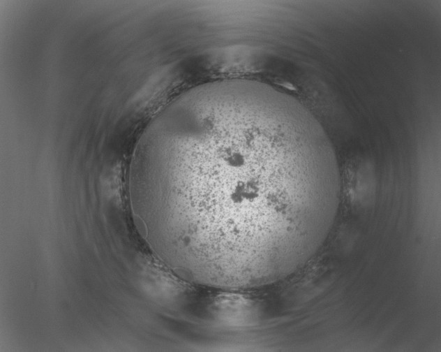 X0000078010519200611031433