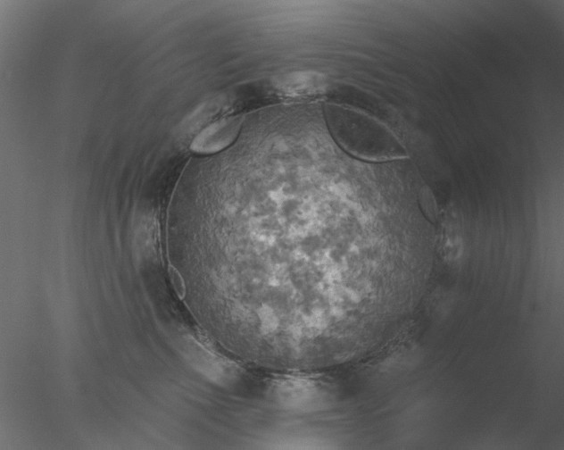 X0000078010523200611031433