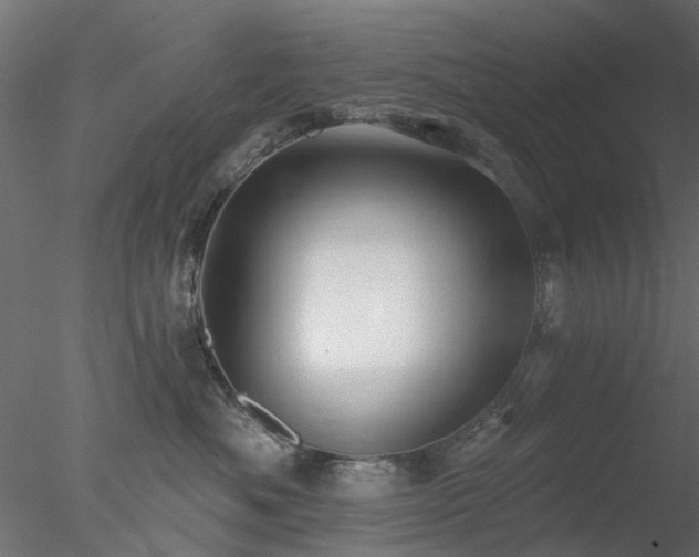 X0000078010525200611031433