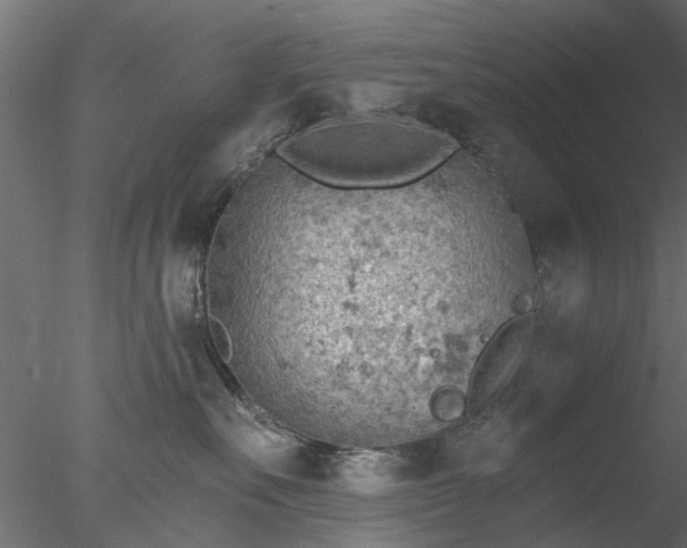 X0000078010527200611031433