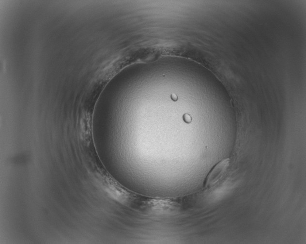 X0000078010528200611031433