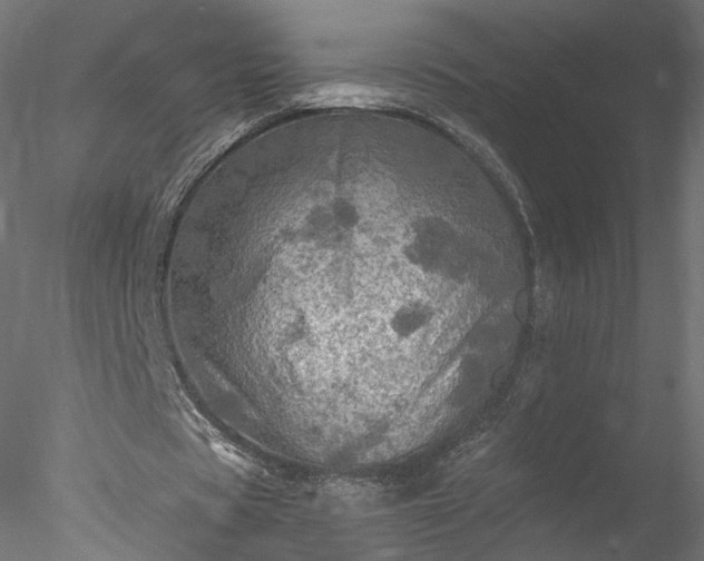 X0000078010529200611031432