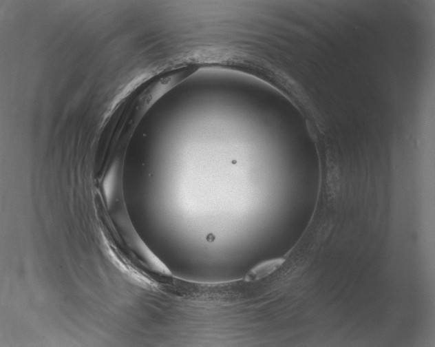 X0000078010530200611031432