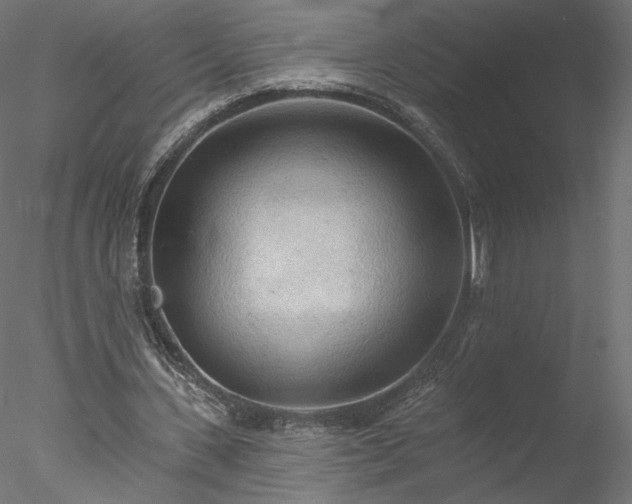 X0000078010531200611031432