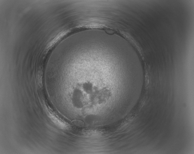 X0000078010533200611031432