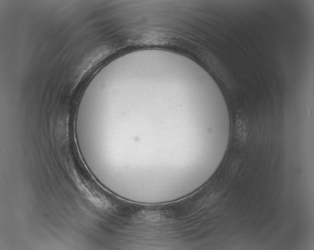 X0000078010534200611031433