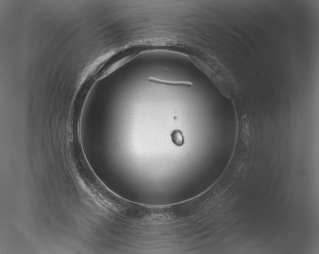 X0000078010536200611031433