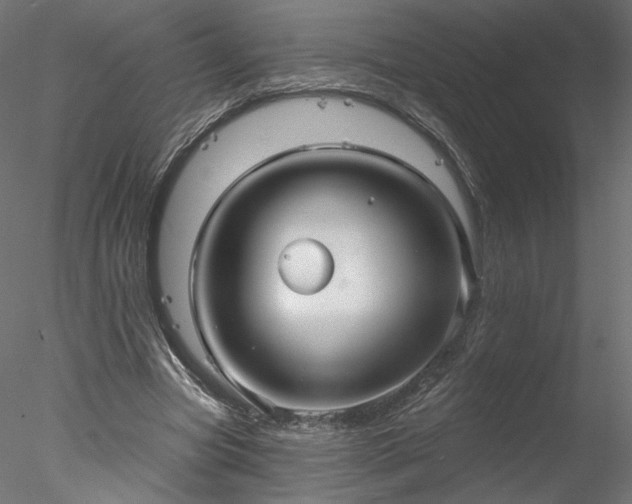 X0000078010537200611031433