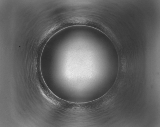 X0000078010538200611031433