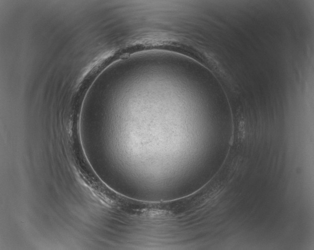 X0000078010539200611031433