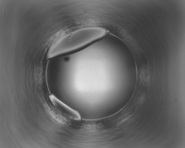 X0000078010540200611031433