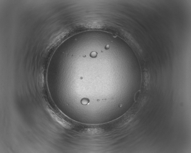 X0000078010541200611031433