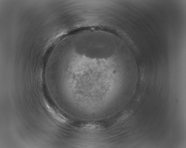 X0000078010542200611031433