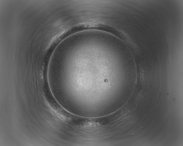 X0000078010543200611031433