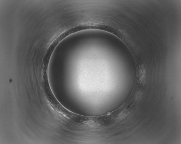 X0000078010544200611031433