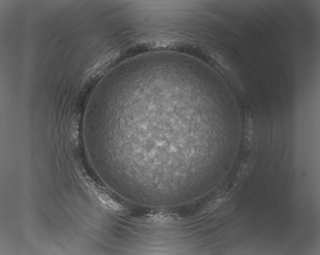 X0000078010545200611031433