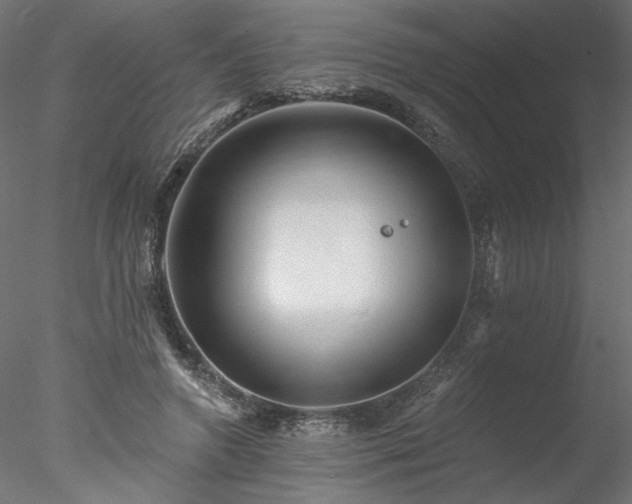 X0000078010546200611031433