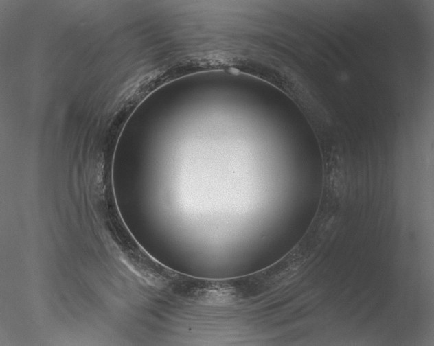 X0000078010548200611031433