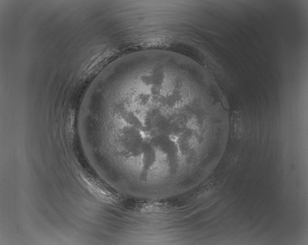 X0000078010550200611031433