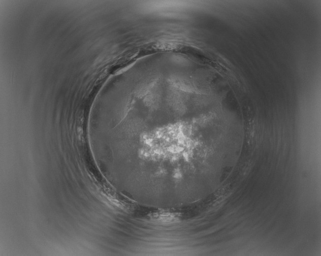 X0000078010553200611031433