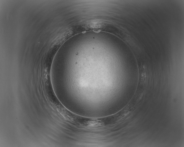 X0000078010555200611031433