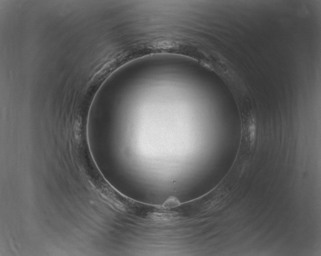 X0000078010556200611031433