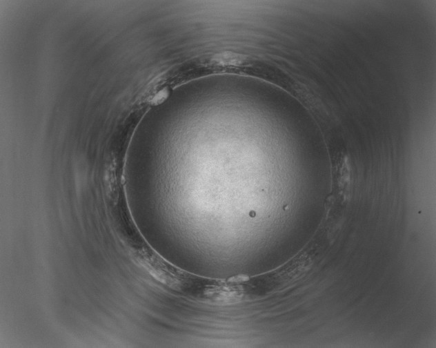 X0000078010559200611031433