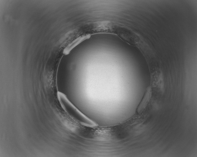 X0000078010560200611031433