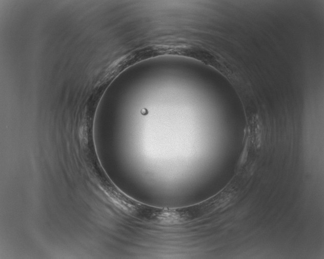 X0000078010562200611031433