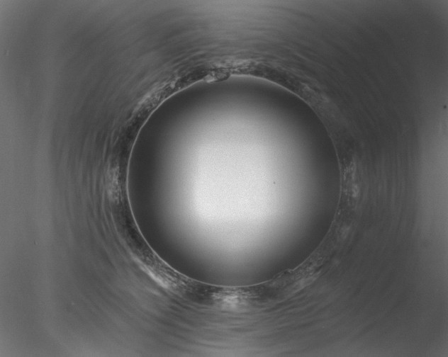 X0000078010564200611031433