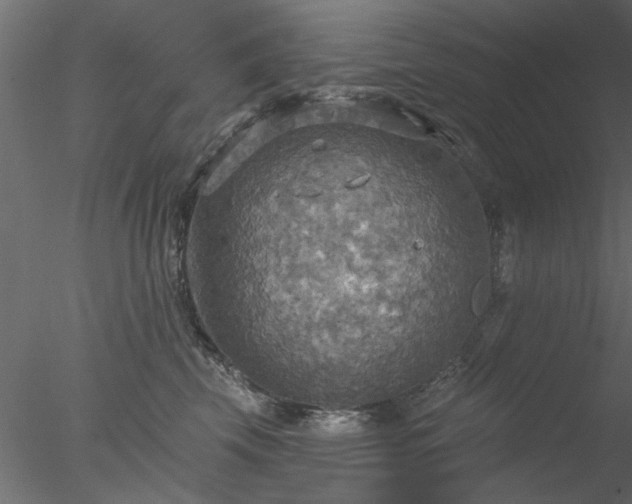 X0000078010569200611031433