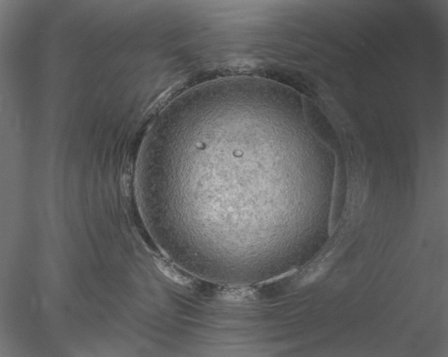 X0000078010576200611031433