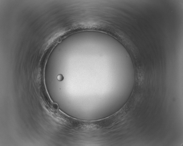 X0000078010583200611031432