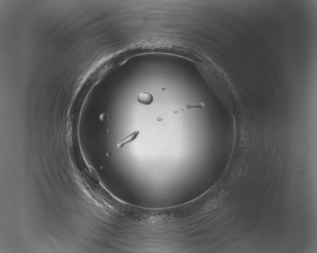 X0000078010584200611031432