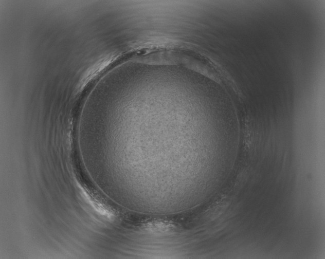 X0000078010586200611031432