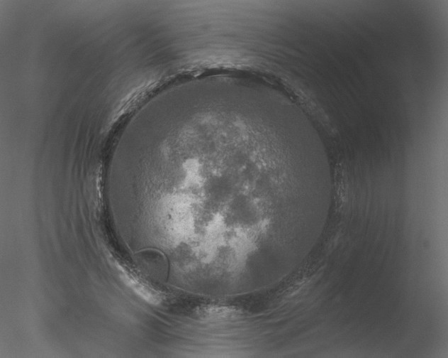 X0000078010590200611031432