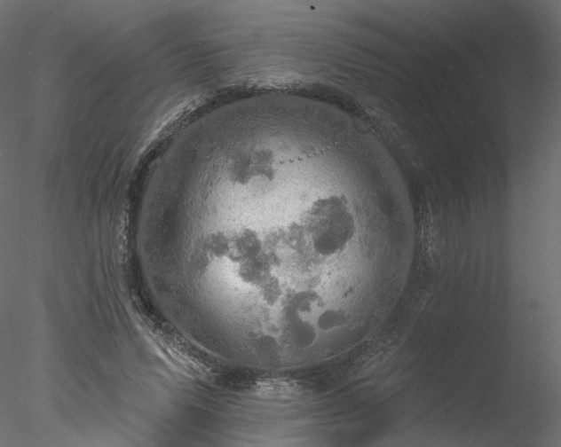 X0000078010591200611031432