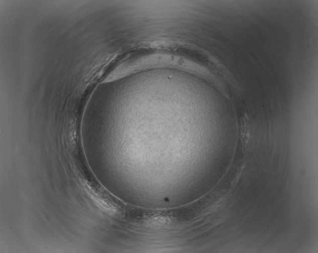 X0000078010593200611031432