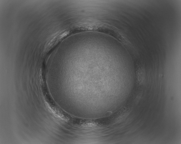 X0000078010594200611031432