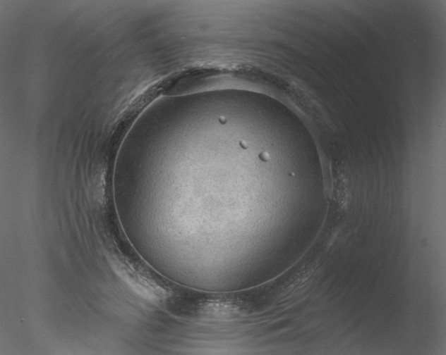 X0000078010596200611031432