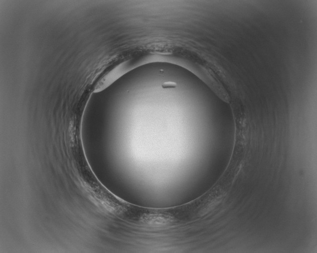 X0000078010597200611031432