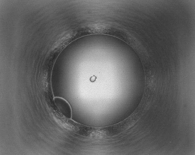 X0000078010599200611031432