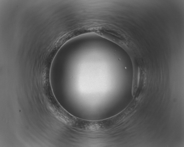 X0000078010600200611031432