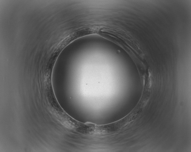 X0000078010601200611031432