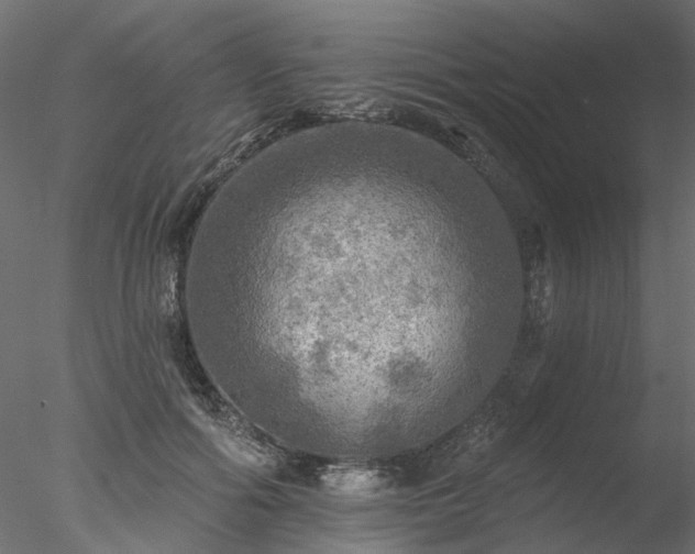 X0000078010602200611031432