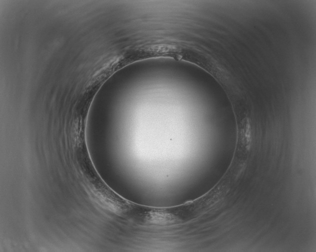 X0000078010605200611031432