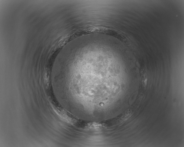 X0000078010607200611031432