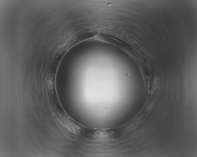 X0000078010613200611031432