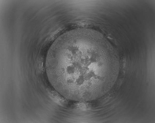 X0000078010615200611031432